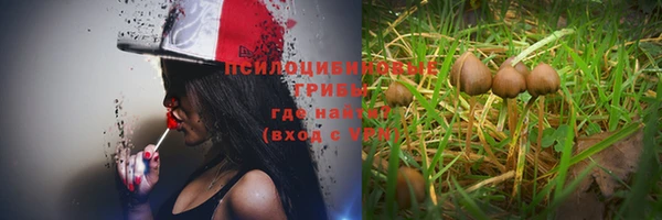 спайс Коряжма