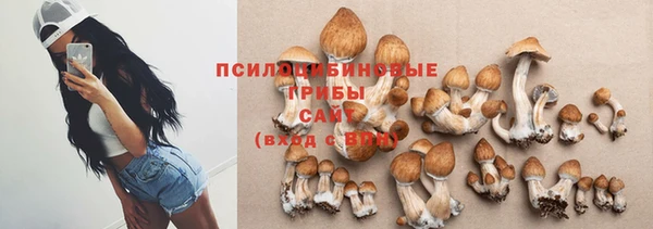 МДПВ Костерёво