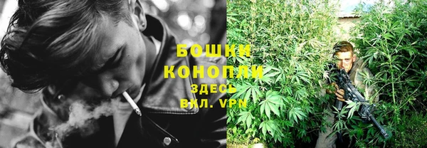 сатива Янаул