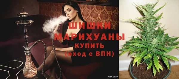 стаф Киреевск