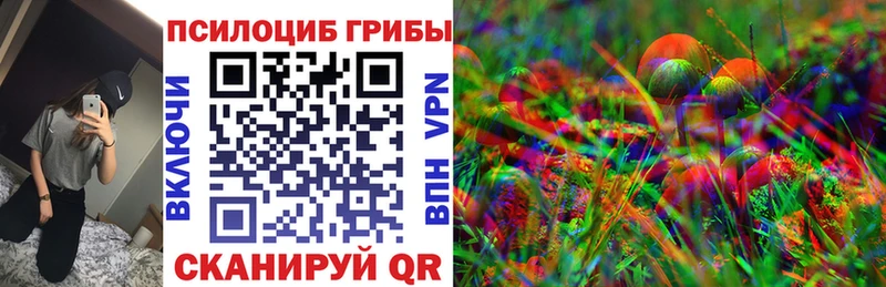 МЕГА ССЫЛКА  Курчатов  Псилоцибиновые грибы GOLDEN TEACHER  купить  